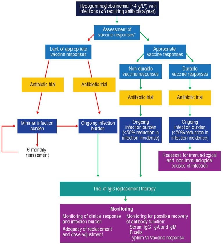 Suggested protocol for the investigation, monitoring, and management of secondary deficiency