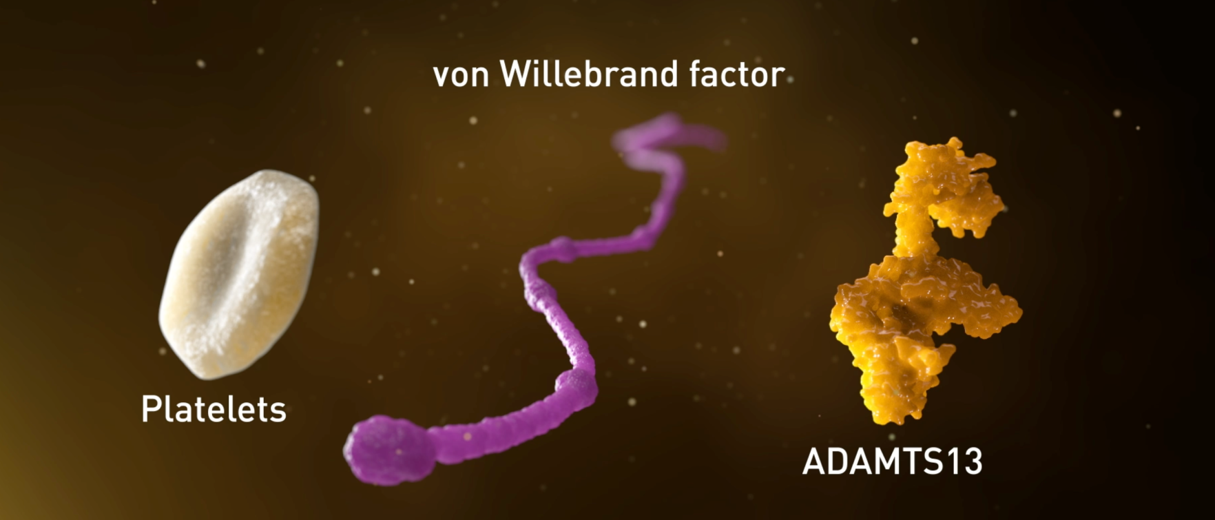 von willebrand factor