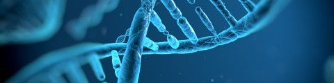 DNA-molekyler