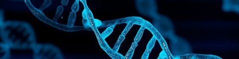 DNA-sträng