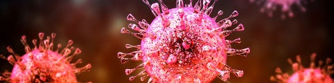 CMV-virus