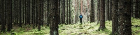 Man i skogsmiljö