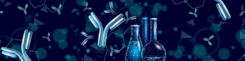 Immunglobulin futuristiskt