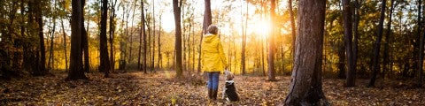 Kvinna med hund i skogen på hösten
