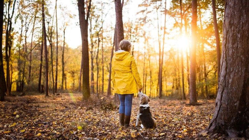 Kvinna med hund i skogen på hösten