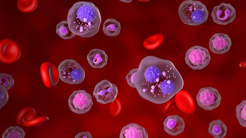 Illustration myelomceller