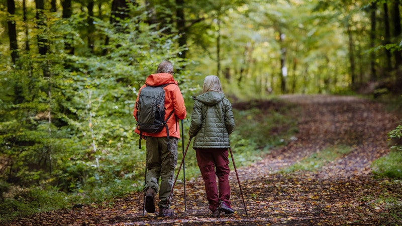 Äldre par bakifrån som går i skogen.